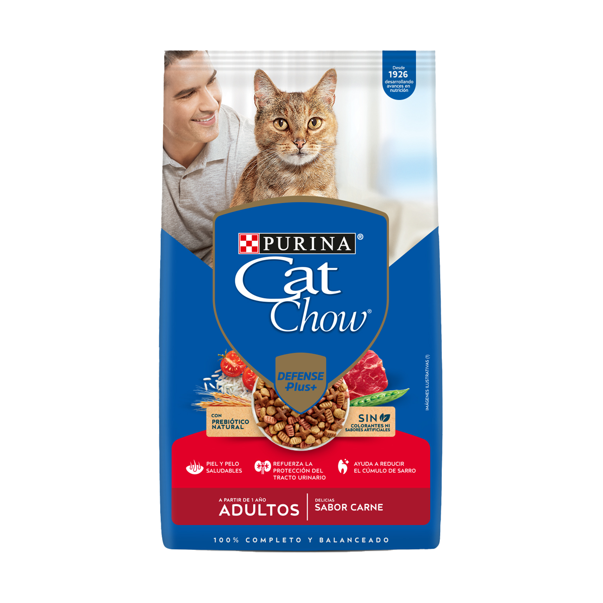PurinaLatam-CatChow-DRY-Adulto-CARNE-01.png