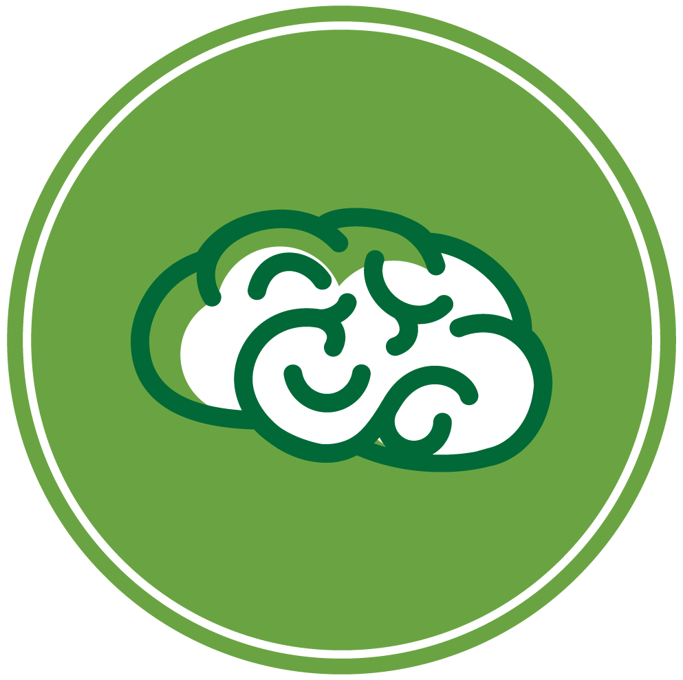 Desarrollo saludable del cerebro
