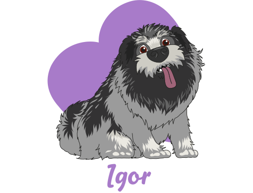 Igor Igor