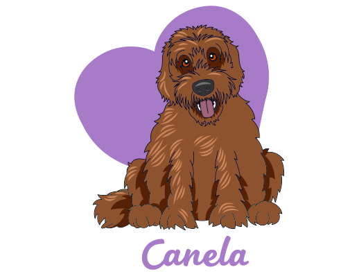 Canela Canela