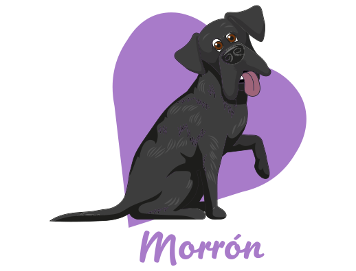 Morrón Morrón
