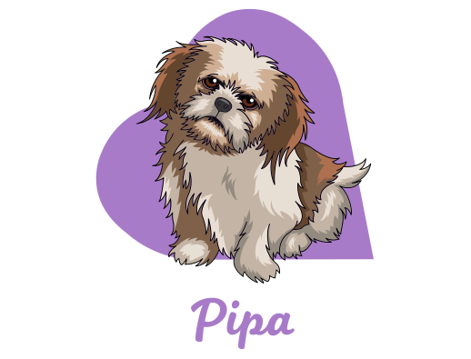 Pipa Pipa