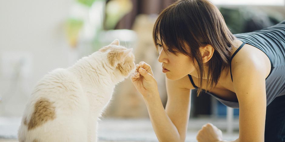 Tutora junto a su mascota color blanco, dándole un premio para gatos.