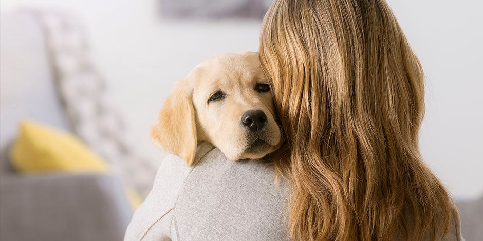 Tutora abrazando a su cachorro de labrador. La gastroenteritis en perros es más común en cachorros.