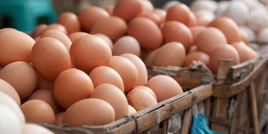 Los gatos pueden comer huevo – Canastas con huevos Los gatos pueden comer huevo. Canastas con huevos