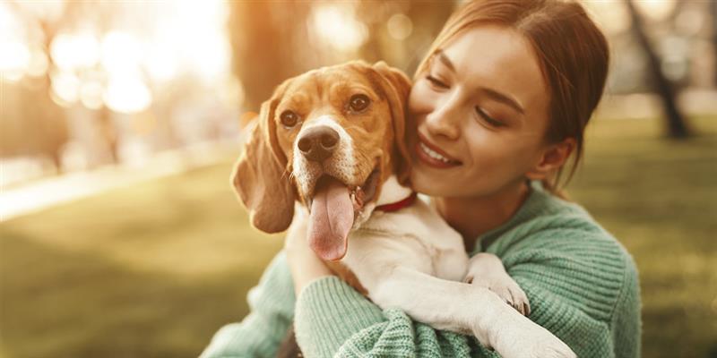 Los perros van al cielo. Tutora abrazando a su beagle. Los perros van al cielo. Tutora abrazando a su beagle.