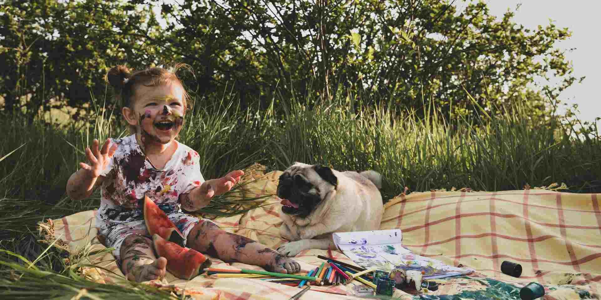 Los perros pueden comer melón - Cantidad Los perros pueden comer melón, pero en cantidades adecuadas. Pug de picnic junto a su pequeño tutor.