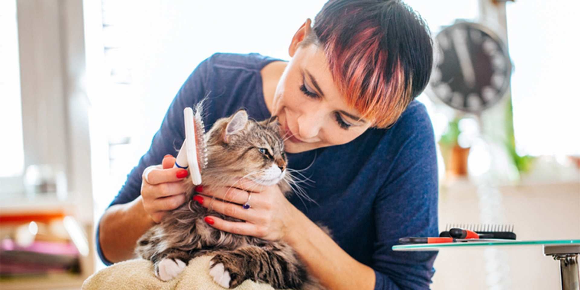 Pelo de gato - Funciones El pelo de gato cumple muchas funciones para nuestros amigos felinos. Mujer cepillando a su mascota.