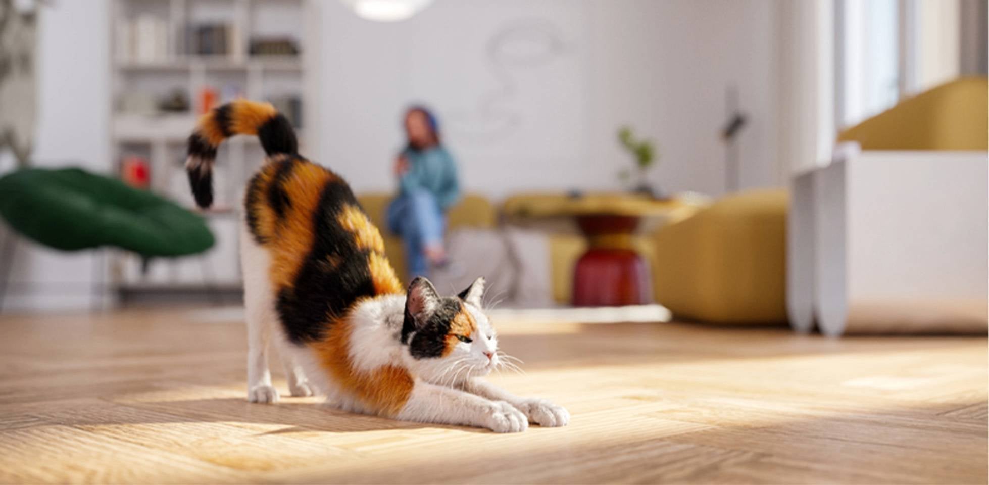 PURINA® te trae nombres para gatas de diferentes colores, como esta michi calicó.