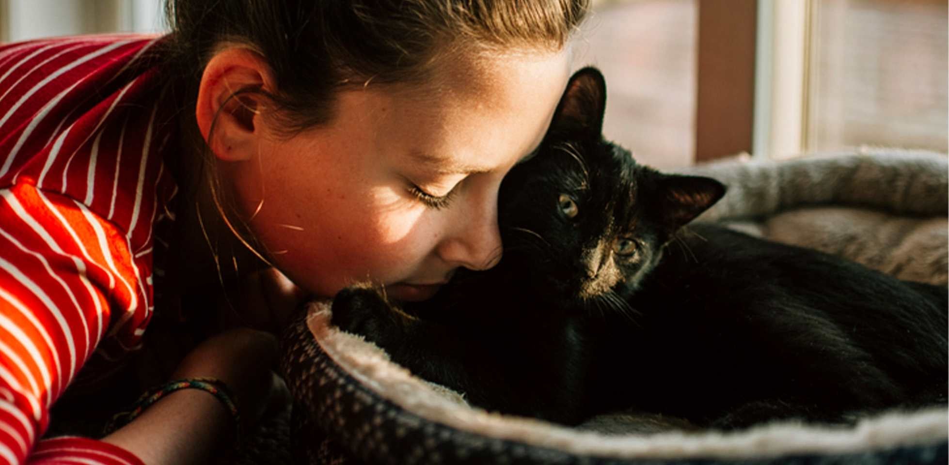 Mal aliento en gatos.