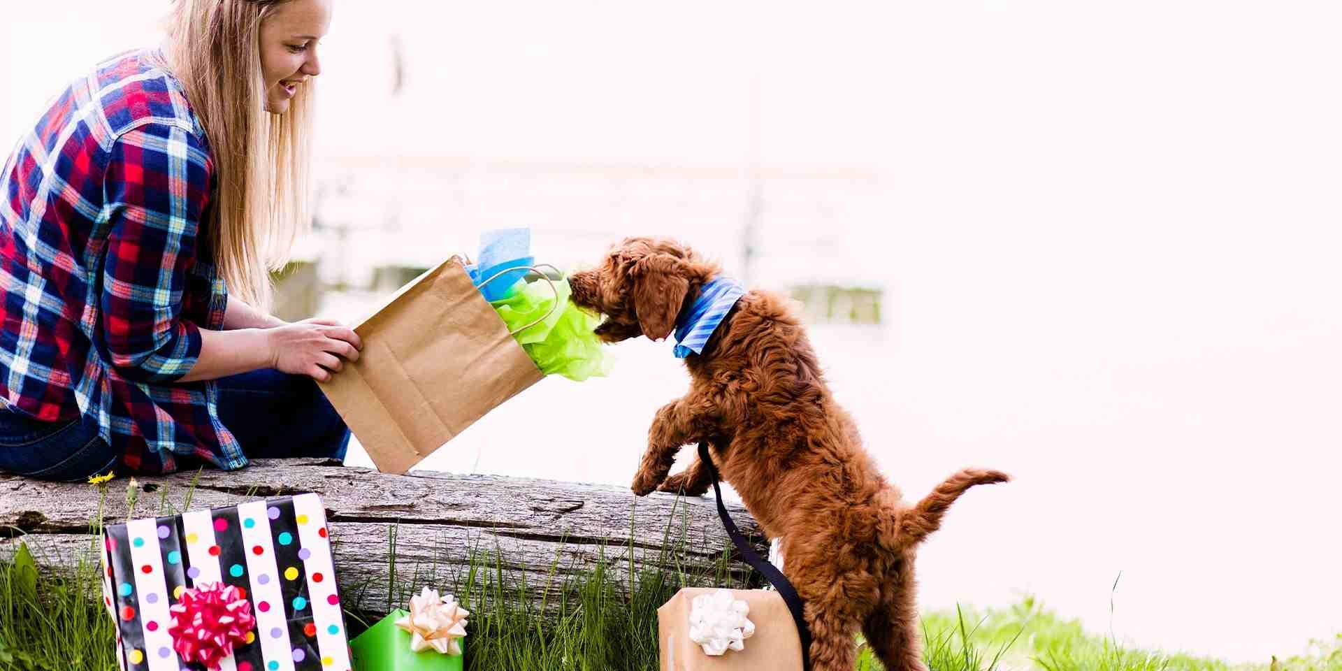 Tutora compartiendo con su mascota por el Día del Perro.