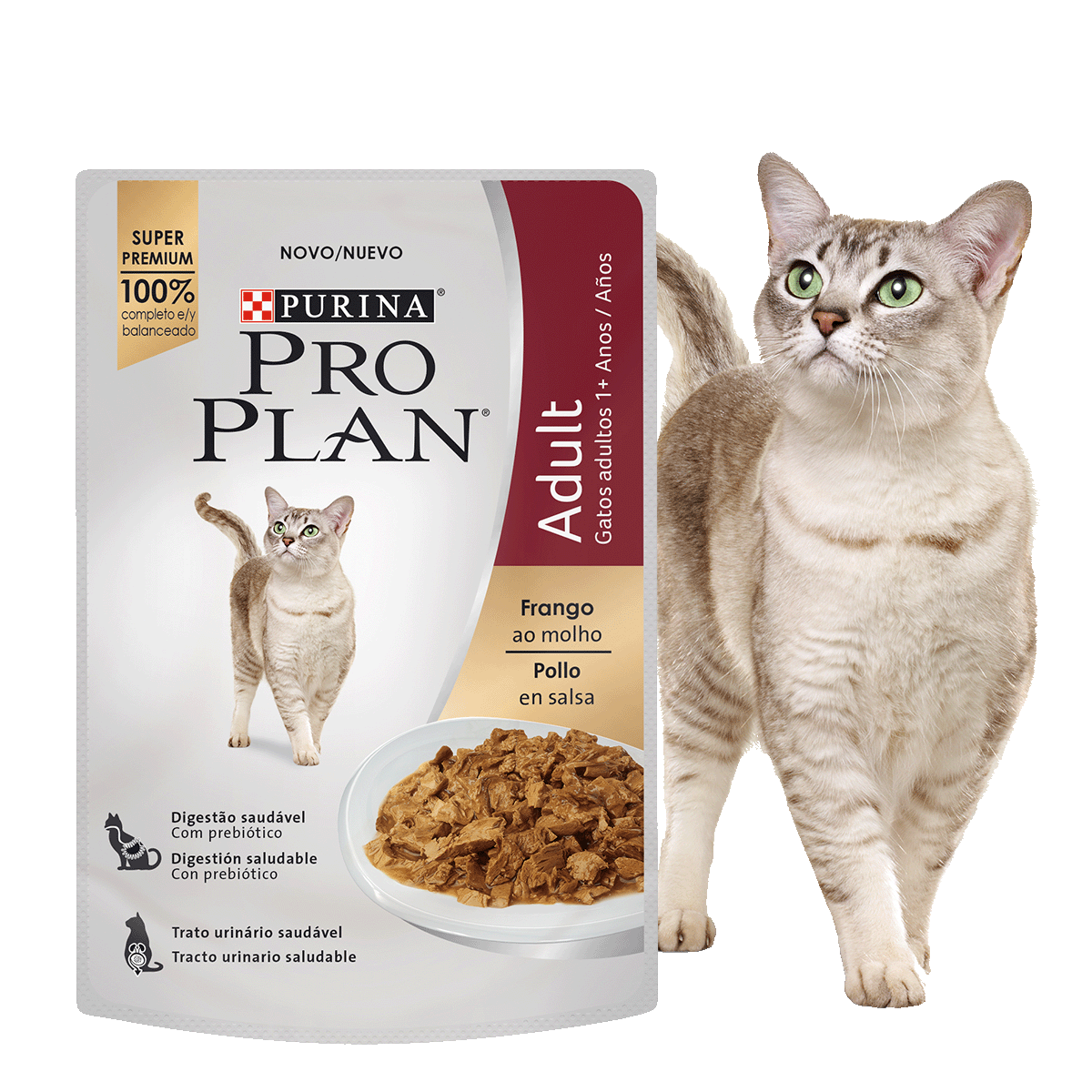 Alimento húmedo Pro Plan Adult Pollo en salsa junto a felino en card