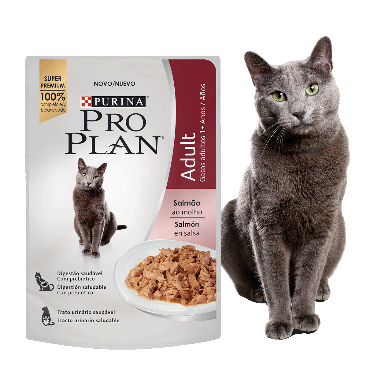 Alimento húmedo Pro Plan Adult Salmón en salsa junto a felino en card