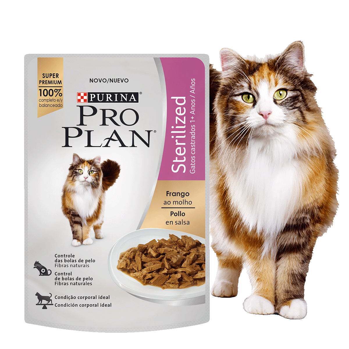 Gato junto a sobre de alimento húmedo Pro Plan Sterilized pollo en salsa para gatos esterilizados