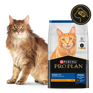 Alimento Pro Plan Adult 7+ para gatos mayores junto a felino en card