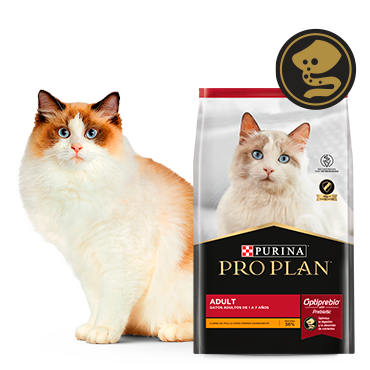 Alimento Pro Plan Adult para gatos junto a felino en card del producto