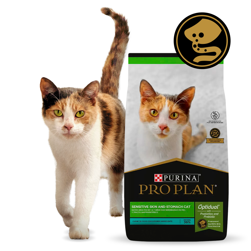 Gato junto al alimento Pro Plan Sensitive Skin and Stomach para gatos adultos, con pavo