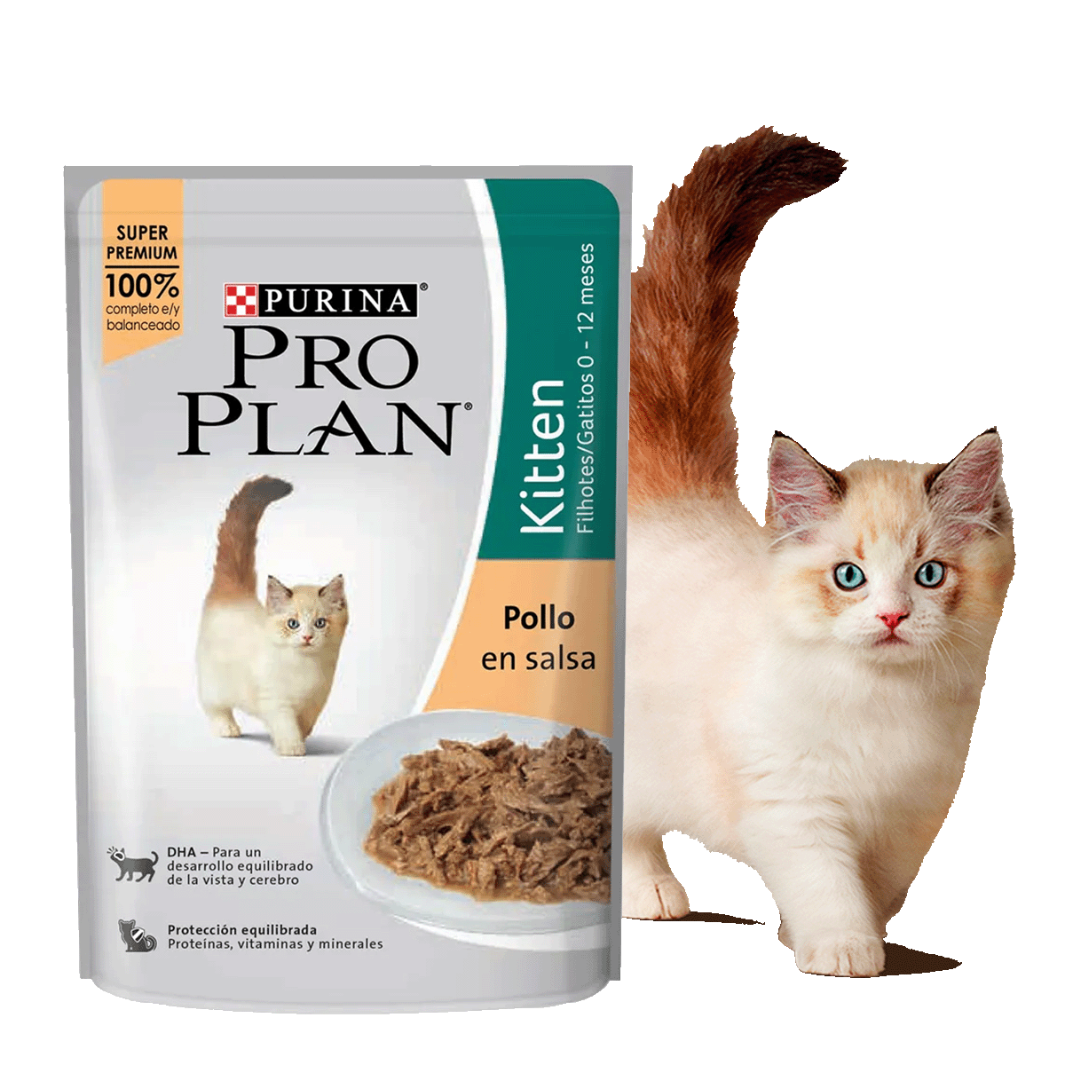 Alimento húmedo Pro Plan Kitten Pollo en salsa junto a felino en card