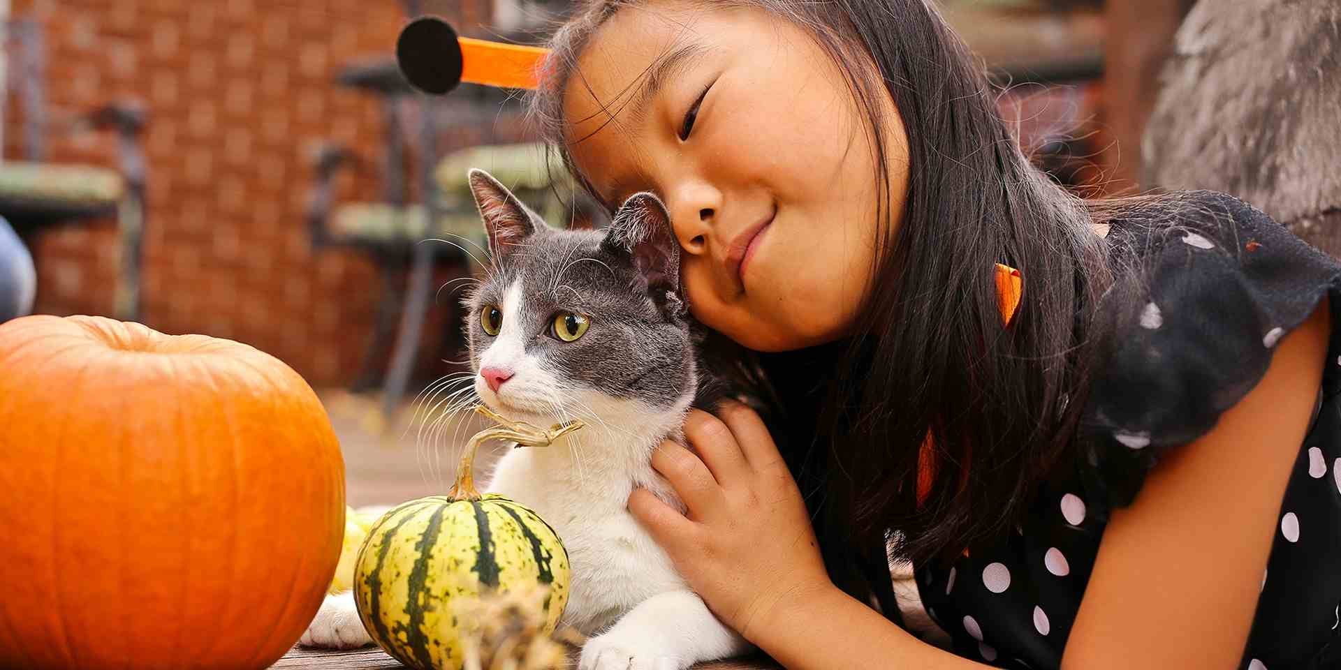 Además de su amor, otro de los beneficios de tener un gato es que puede ayudar a que los niños tengan un sistema inmune más fuerte.