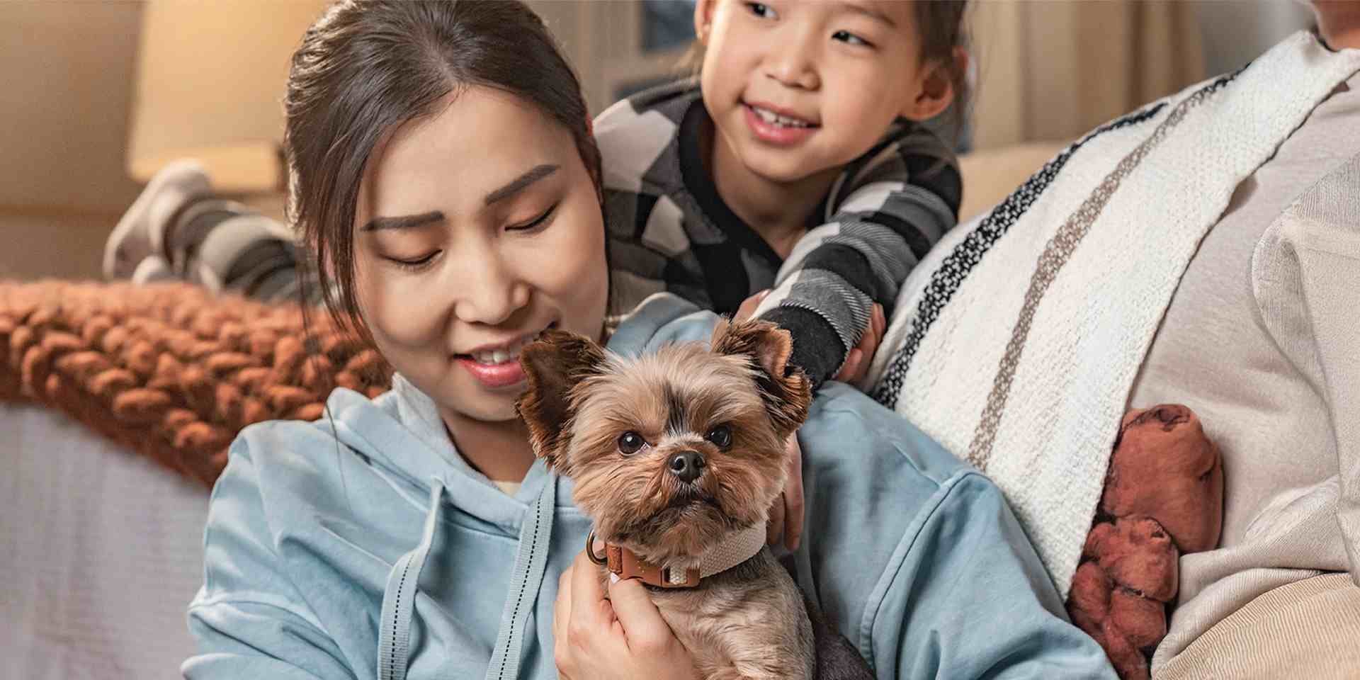 Beneficios de tener un perro: un compañero que cambiará tu vida