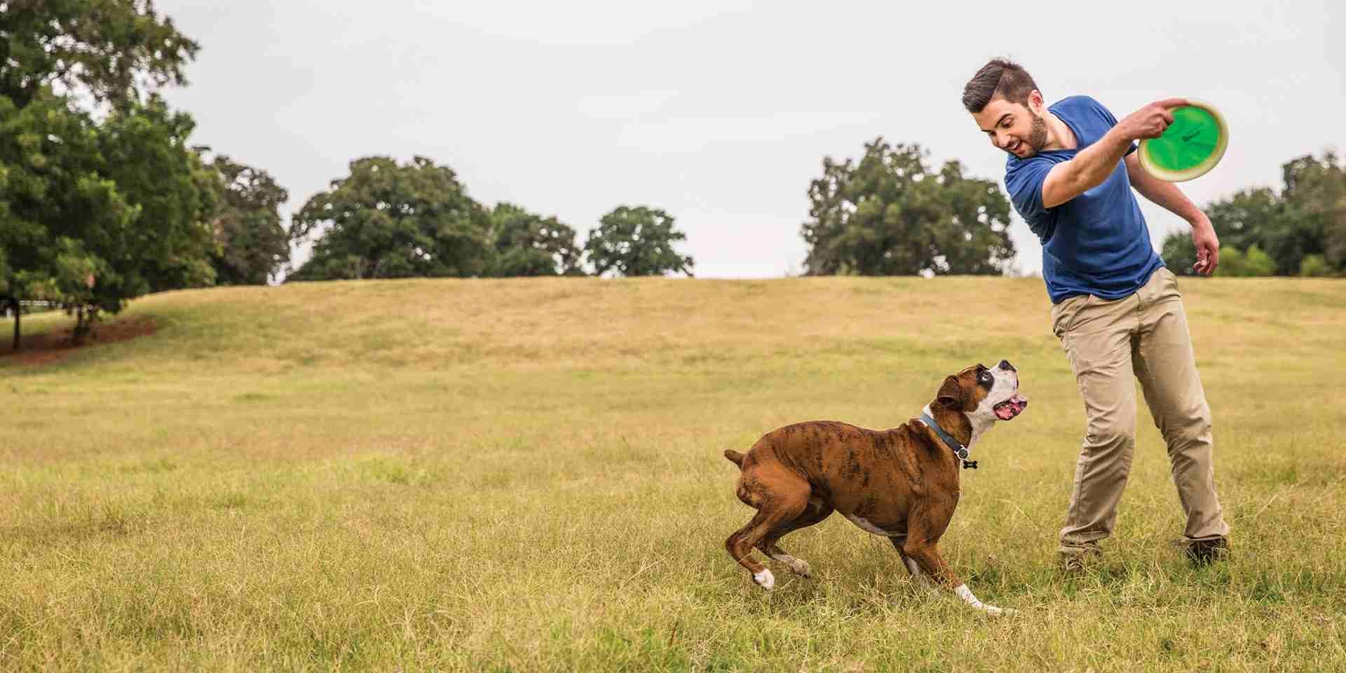 Comida casera para perros: para promover el bienestar canino, elige fórmulas adecuadas para él. Tutor jugando con su perro.