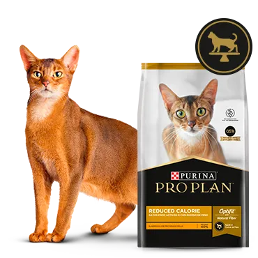 Purina%C2%AE-Proplan%C2%AE-Optifit.png.webp?itok=aA_cmiVf