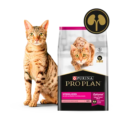 Purina%C2%AE-Proplan%C2%AE-Optirenal.png.webp?itok=nfnDdblR