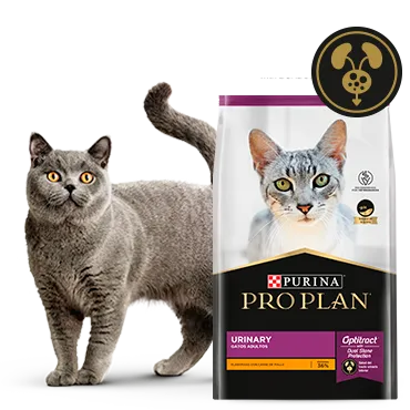 Purina%C2%AE-Proplan%C2%AE-Optritact.png.webp?itok=ZMa06fIn