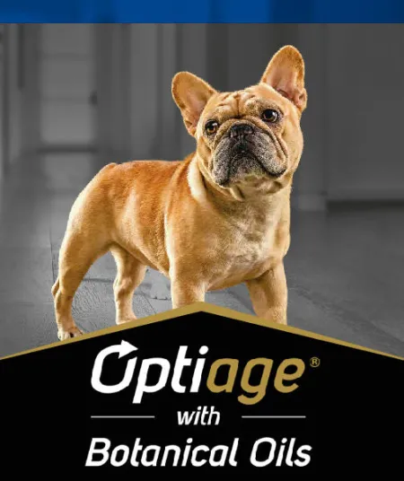 optiage_perros_pro_plan.jpg.webp?itok=nrfG9Vm3