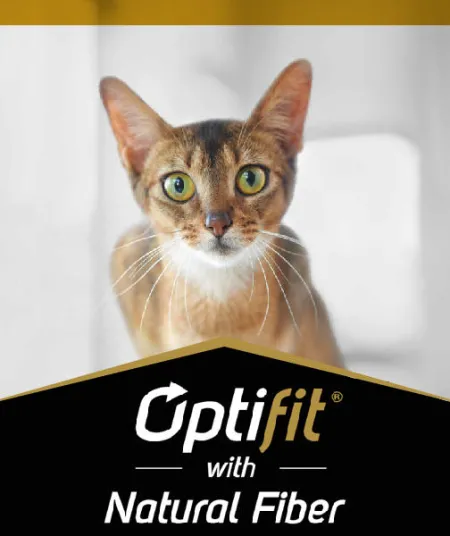 optifit_gato_pro_plan.jpg.webp?itok=IPfLAcgu