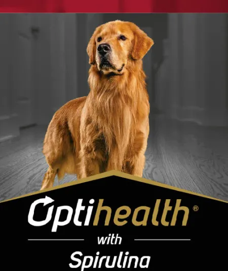 optihealth_perros_pro_plan.jpg.webp?itok=aTBryJsS