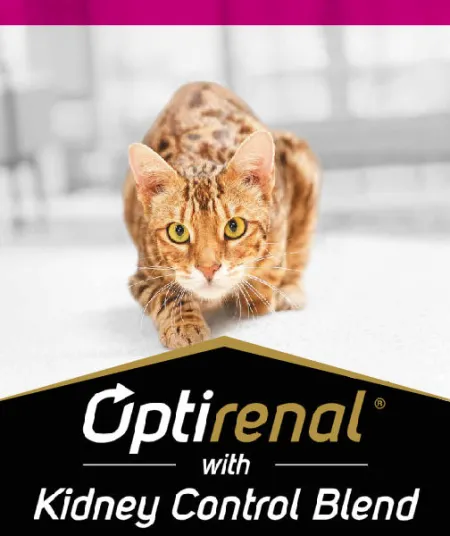 optirenal_gato_pro_plan.jpg.webp?itok=Ewjrupr5