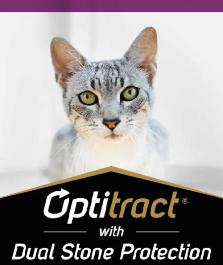 optitract_gato_pro_plan.jpg.webp?itok=Z3UvhQDr