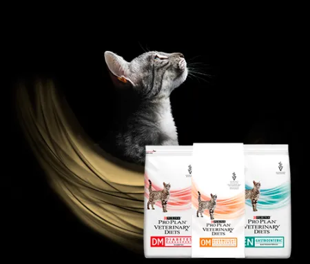 veterinary_diets_gato_pro_plan.png.webp?itok=UzpIX_vc