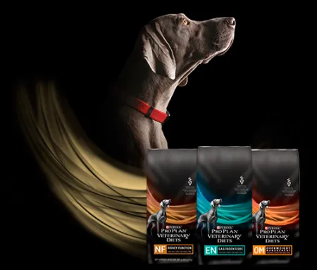 veterinary_diets_perro_pro_plan.png.webp?itok=mG4gbSfC