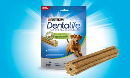 dentalife-perro-grande.png.webp?itok=1IoqPc1y