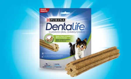 dentalife-perro-mediano-bolsa.png.webp?itok=dSirwsIw dentalife-perro-mediano-bolsa.png.webp?itok=dSirwsIw