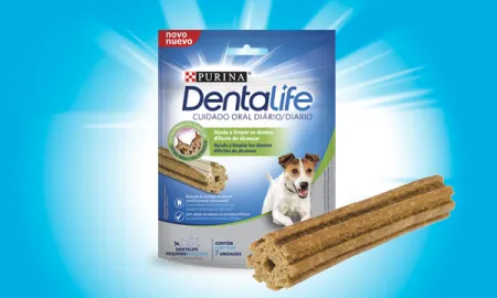 dentalife-perro-peque%C3%B1o-bolsa.png.webp?itok=kSIwzMQO dentalife-perro-peque%C3%B1o-bolsa.png.webp?itok=kSIwzMQO