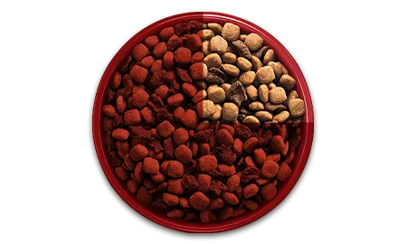 Bowl-01.png.webp?itok=uEBuESXe