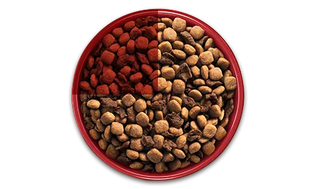 Bowl-03.png.webp?itok=j2iqRIkf