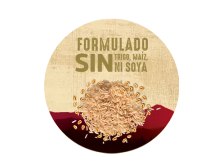 CEREALES-NATURALSENSE.png.webp?itok=7mvKIzUM
