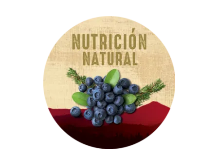 NUTRICION-NATURAL-BERRY-NATURALSENSE.png.webp?itok=l6hJZnCV