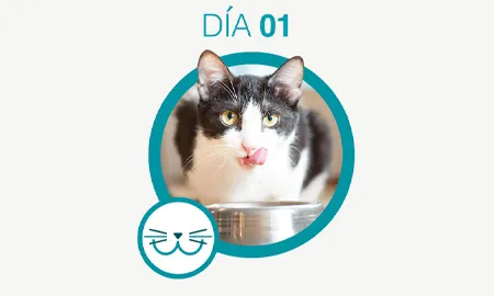 One-Cambios-dia-01_0.png.webp?itok=9AYlU5rC