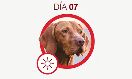 One-Cambios-dia-07.png.webp?itok=RbGLcQEX