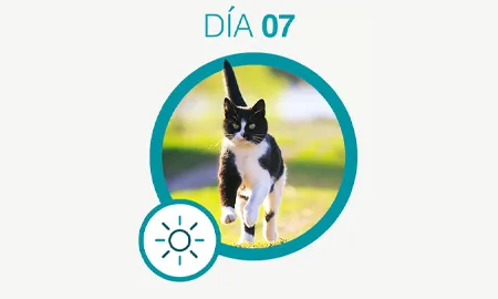 One-Cambios-dia-07_0.png.webp?itok=jHynvwJR