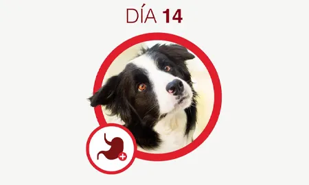 One-Cambios-dia-14.png.webp?itok=rqF49Lqj
