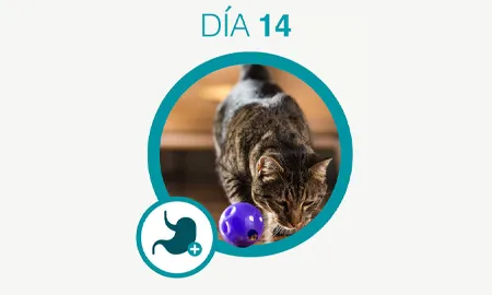 One-Cambios-dia-14_0.png.webp?itok=kVHc5pLh