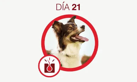One-Cambios-dia-21.png.webp?itok=H8D5600E