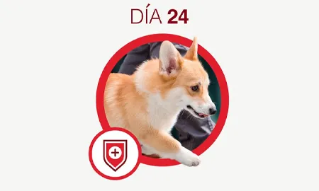 One-Cambios-dia-24.png.webp?itok=1iIqLced