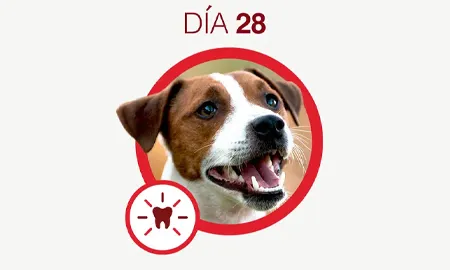 One-Cambios-dia-28.png.webp?itok=W0nKLC4y